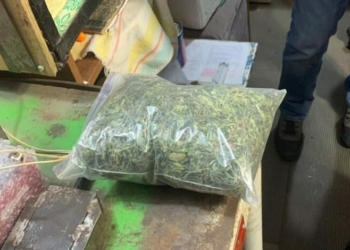 У жителя Чернігівщини виявили пакети набиті коноплею та пристрої для куріння