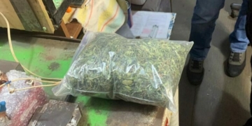 У жителя Чернігівщини виявили пакети набиті коноплею та пристрої для куріння