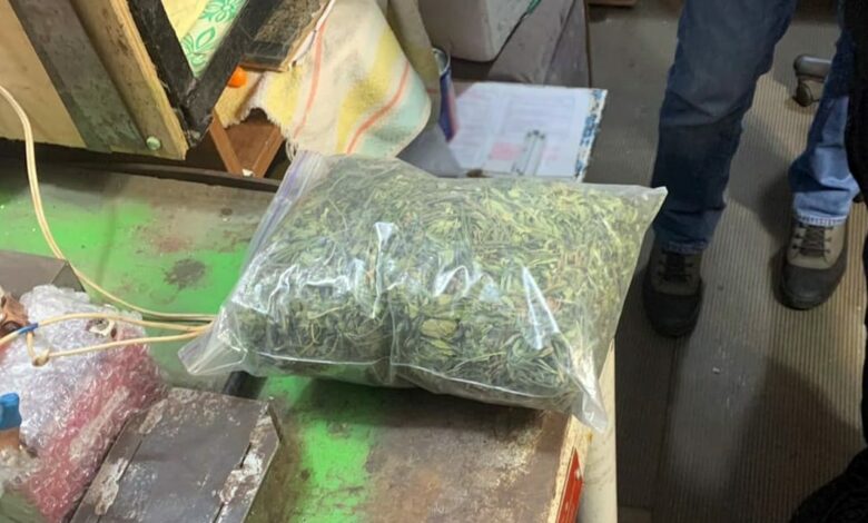 У жителя Чернігівщини виявили пакети набиті коноплею та пристрої для куріння