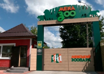 Верблюдиця поки що буде сама: в Менському зоопарку скасували закупівлю самця