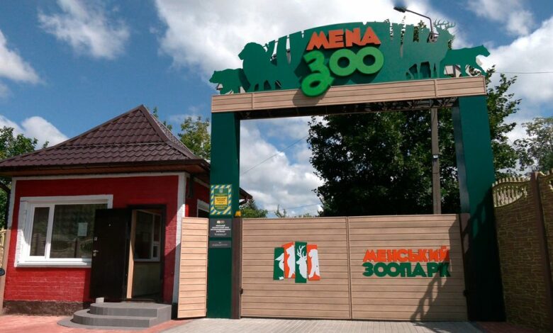 Верблюдиця поки що буде сама: в Менському зоопарку скасували закупівлю самця