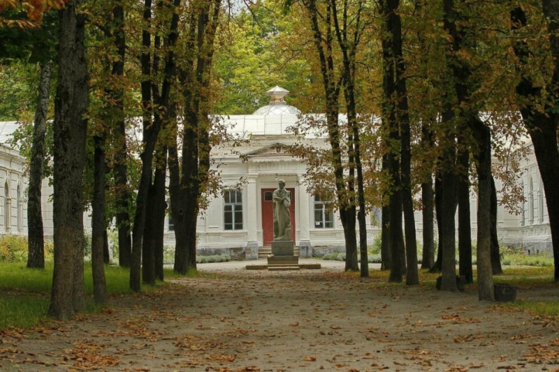 «Вилетіли вікна, могли і стіни дати тріщини»: наслідки ворожої атаки, від якої постраждала садиба Лизогубів на Чернігівщині