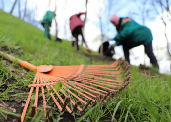 Всесвітній день прибирання: Чернігівщина – серед цьогорічних лідерів України