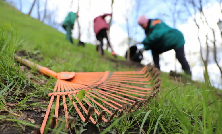 Всесвітній день прибирання: Чернігівщина – серед цьогорічних лідерів України