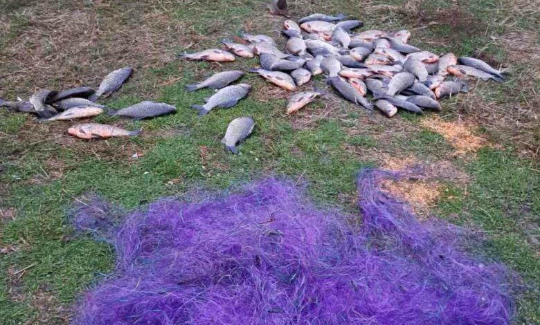 За незаконну риболовлю порушник з Чернігівщини сплатить до бюджету понад 125 тисяч гривень