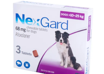 Препарат Nexgard для собак: особенности и преимущества