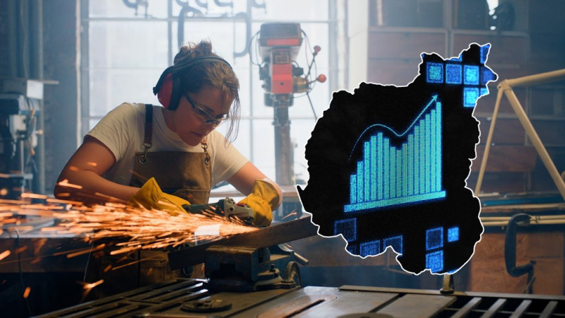 Юридичних осіб стало більше, а ФОП поменшало на Чернігівщині у 2025 році