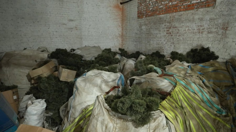 Ковзанка поламана, а головна ялинка перебуває у мішках: як зберігають ілюмінацію та святкові прикраси у Чернігові