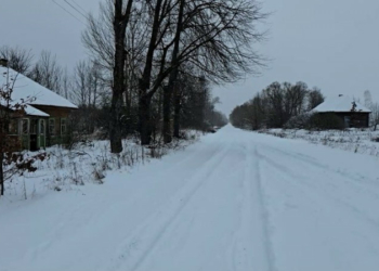«Свічку запалю, поїсти наварю щось»: як зустрічає Новий рік один з останніх жителів Марсу, що на Чернігівщині