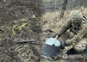 У Корюківському районі вибухотехніки знешкодили збитий російський безпілотник з касетними боєприпасами