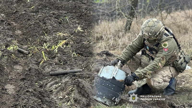 У Корюківському районі вибухотехніки знешкодили збитий російський безпілотник з касетними боєприпасами