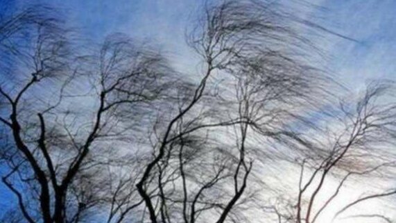 Буревій накриє Чернігівщину