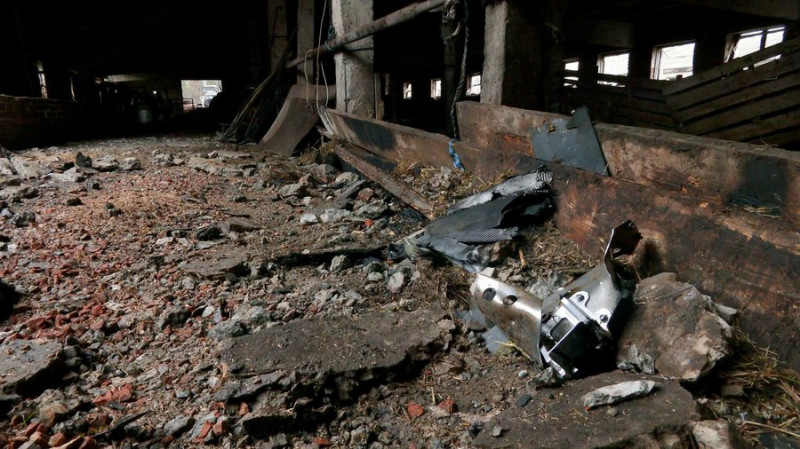 "Підійшла до сараю — назустріч іде корова без очей": що відомо про атаку РФ по фермі на Чернігівщині, де загинула худоба