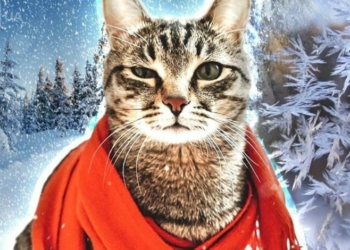 Чернігівщину накриють морози