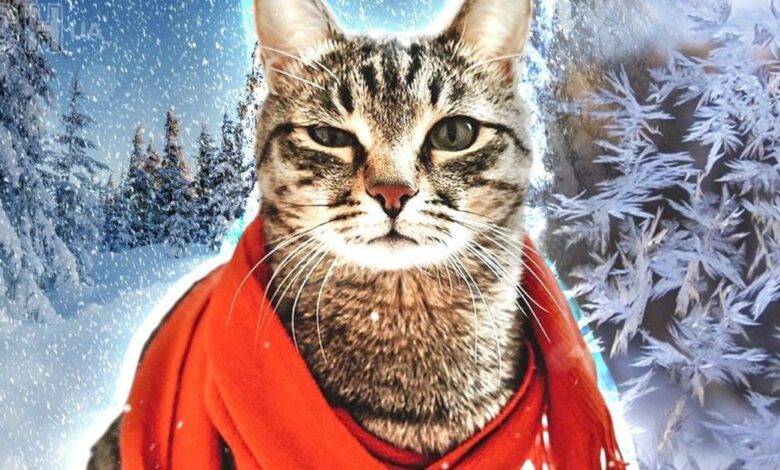 Чернігівщину накриють морози