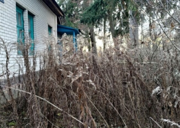 Чи є занедбана будівля маєтком: ситуація в громаді на Чернігівщині