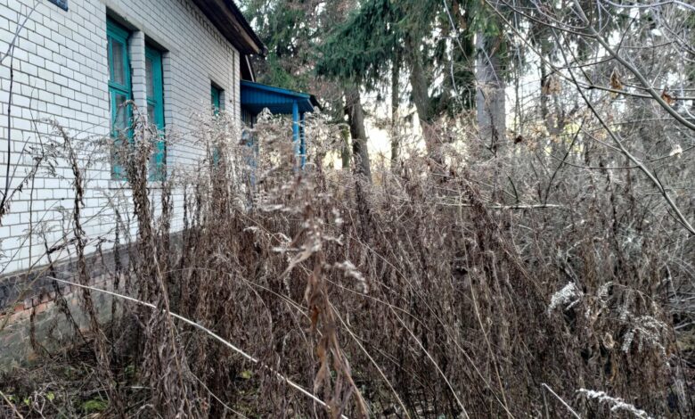 Чи є занедбана будівля маєтком: ситуація в громаді на Чернігівщині
