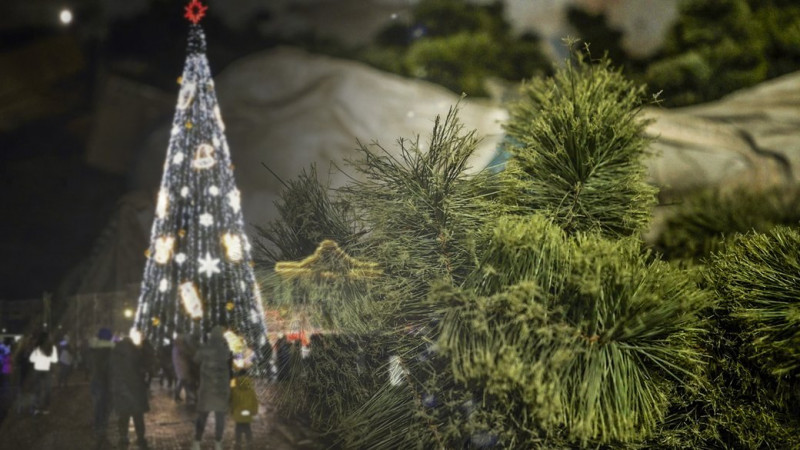 Символізує стійкість: чернігівці власноруч встановили ялинку на центральній площі міста