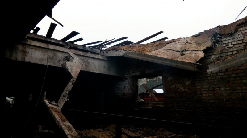 "Підійшла до сараю — назустріч іде корова без очей": що відомо про атаку РФ по фермі на Чернігівщині, де загинула худоба