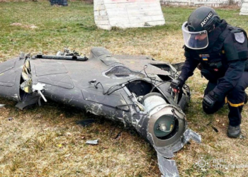 Сапери ДСНС виявили та знищили на Чернігівщині бойові частини російських БпЛА та інші снаряди