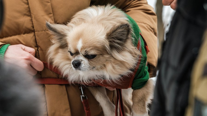 "Оксано, ми горимо, «шахед» влучив у наш майданчик". Чернігівка про атаку РФ по багатоповерхівці на Різдво