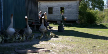 Хочуть зрозуміти, як живуть українці: фахівці служби статистики відвідають 402 домогосподарства у Чернігівській області