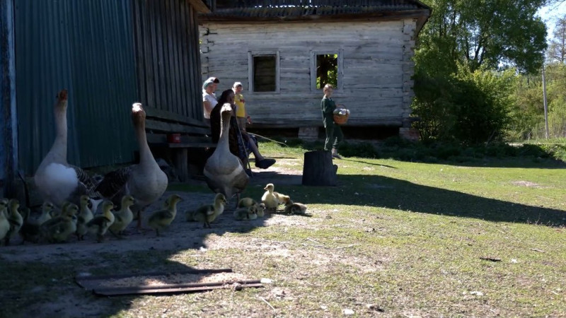 Хочуть зрозуміти, як живуть українці: фахівці служби статистики відвідають 402 домогосподарства у Чернігівській області
