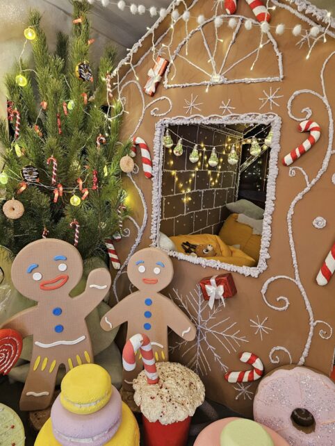 Із колесом огляду та паровозом: у громаді на Чернігівщині діти й дорослі в захваті від новорічної кімнати