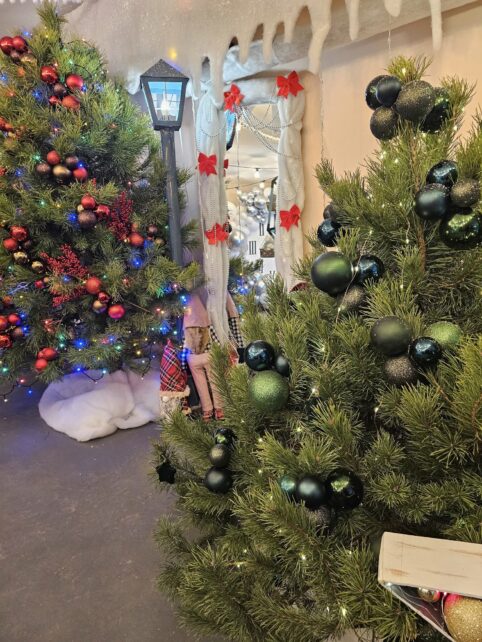 Із колесом огляду та паровозом: у громаді на Чернігівщині діти й дорослі в захваті від новорічної кімнати