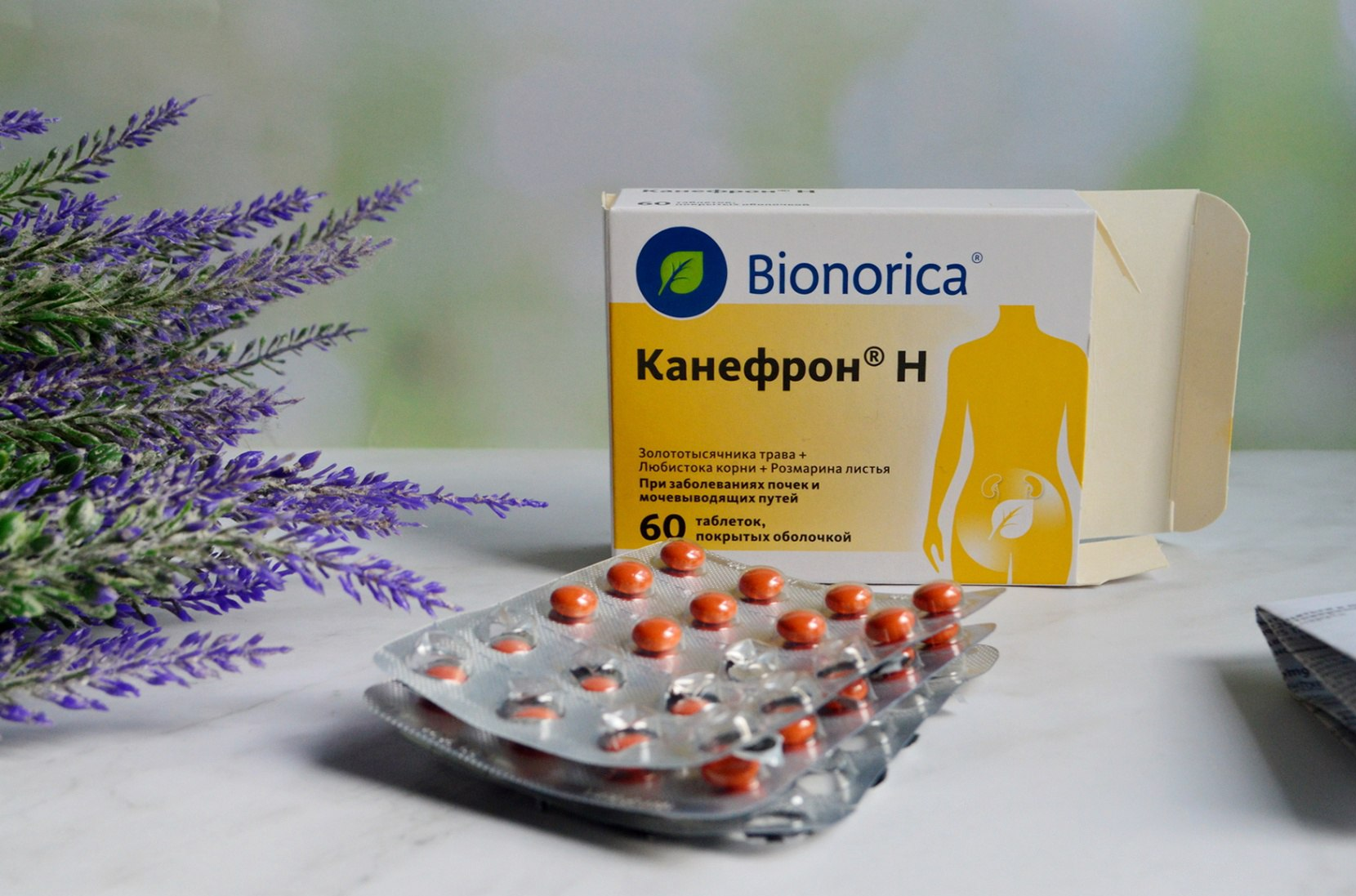 Канефрон: показания, действие и особенности применения