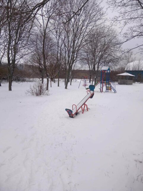 «Як буде світло, дивитимемося вітання Президента. Як не буде, то люди ляжуть спати»: чи чекають на Новий рік у селах Чернігівщини