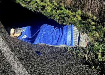 На Чернігівщині на автодорозі знайшли чоловіка, якого збила автівка: подробиці ДТП (Фото)