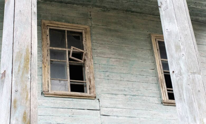 На Чернігівщині рятують старовинний маєток (Фото)