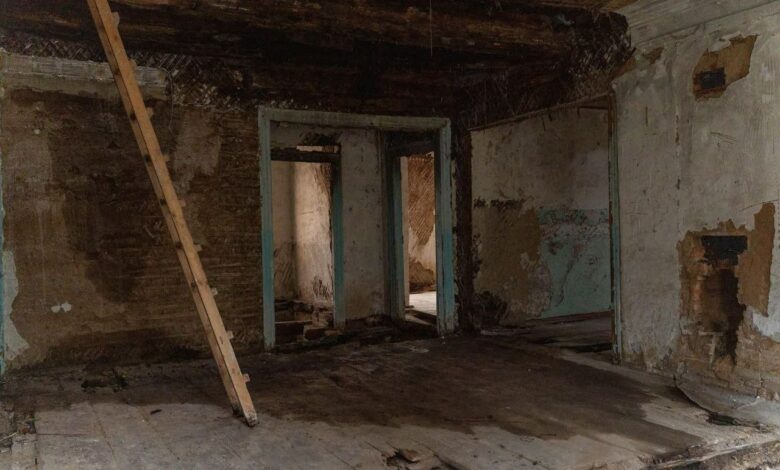 На Чернігівщині рятують старовинний маєток (Фото)