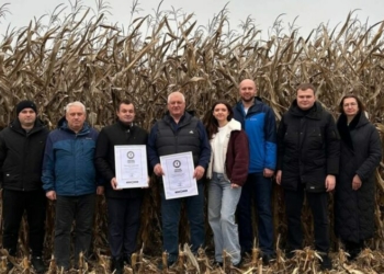 На Чернігівщині встановили рекорд України по врожайності кукурудзи