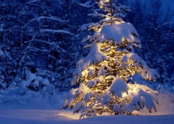 Новий рік зі снігопадами та морозом: докладний прогноз погоди на Чернігівщині