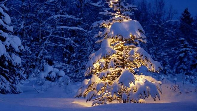 Новий рік зі снігопадами та морозом: докладний прогноз погоди на Чернігівщині