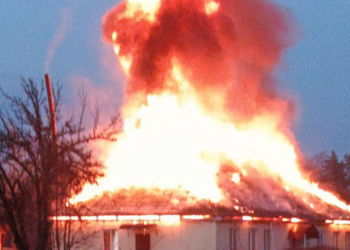 Російські FPV-дрони масовано атакували лісництво на Чернігівщині Російські FPV-дрони масовано атакували лісництво на Чернігівщині