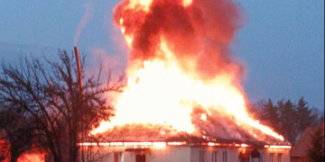 Російські FPV-дрони масовано атакували лісництво на Чернігівщині