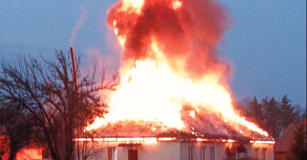 Російські FPV-дрони масовано атакували лісництво на Чернігівщині