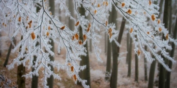 Синоптики обіцяють морозні вихідні на Чернігівщині