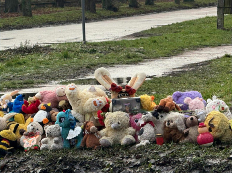 Смертельна ДТП у Прилуках: хронологія подій і перебіг апеляційного засідання в Чернігові (Відео)