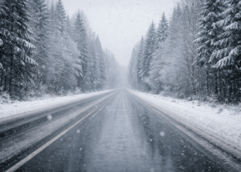 Снігопад і ожеледиця: на Чернігівщині прогнозують погіршення погодних умов