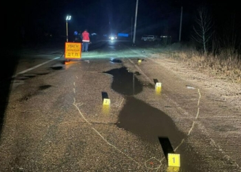 Стали відомі подробиці смертельної ДТП у Чернігівському районі (Фото)
