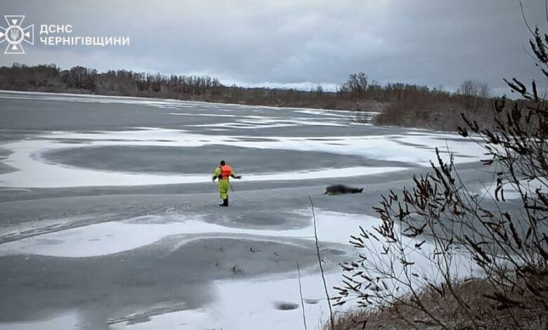 Трагедія на льоду: на Чернігівщині 55-річний чоловік провалився під кригу