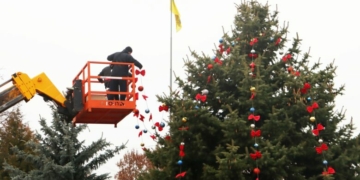 У центрі Борзни до свят прикрасили живу ялинку