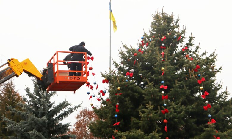 У центрі Борзни до свят прикрасили живу ялинку