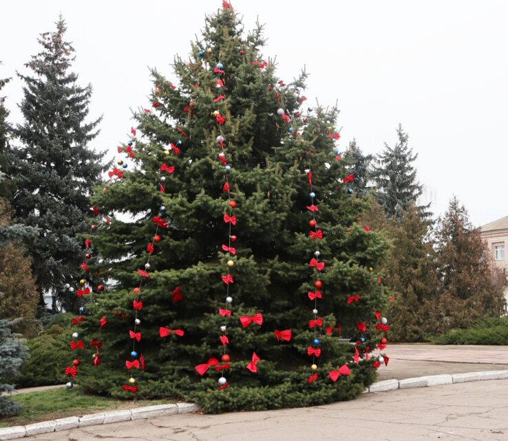 У центрі Борзни до свят прикрасили живу ялинку