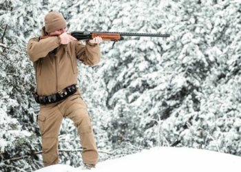 У громаді на Чернігівщині відстрілюватимуть диких тварин У громаді на Чернігівщині відстрілюватимуть диких тварин