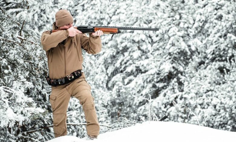 У громаді на Чернігівщині відстрілюватимуть диких тварин